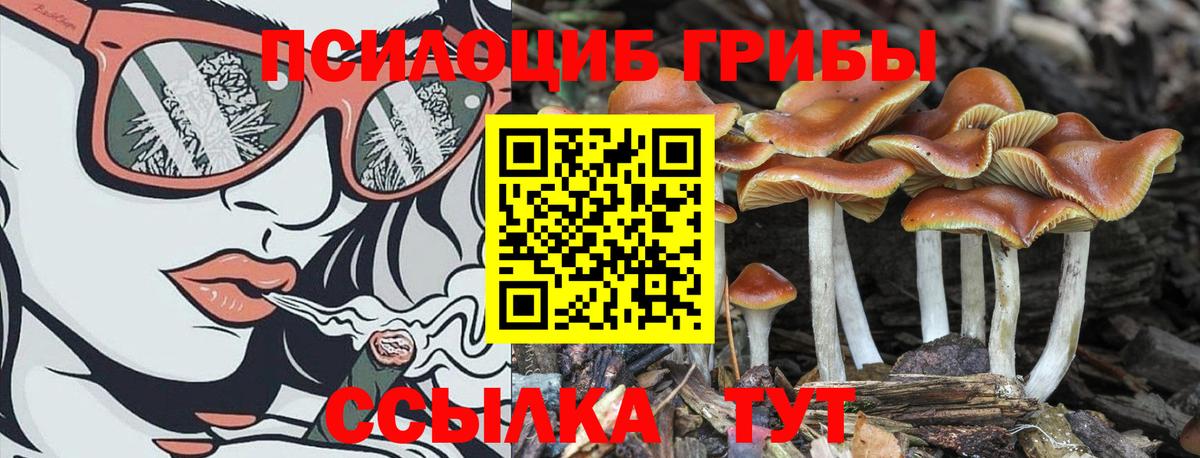 Жуковский  Псилоцибиновые грибы Magic Shrooms  Вход с VPN 