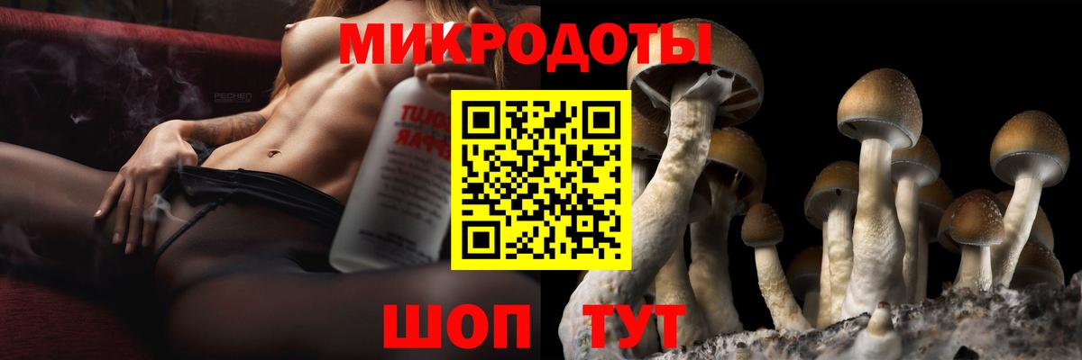 Галлюциногенные грибы MAGIC MUSHROOMS Жуковский